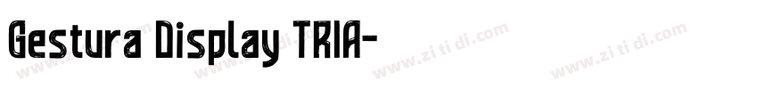 Gestura Display TRIA字体转换